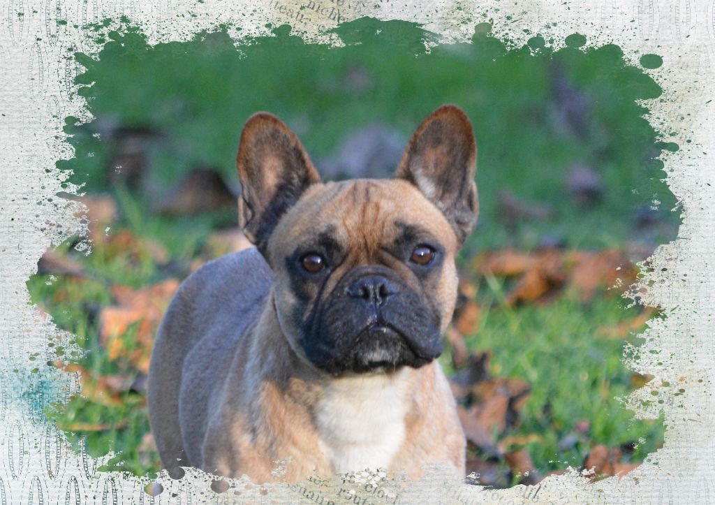 Victorine Eden Of The Beauty As