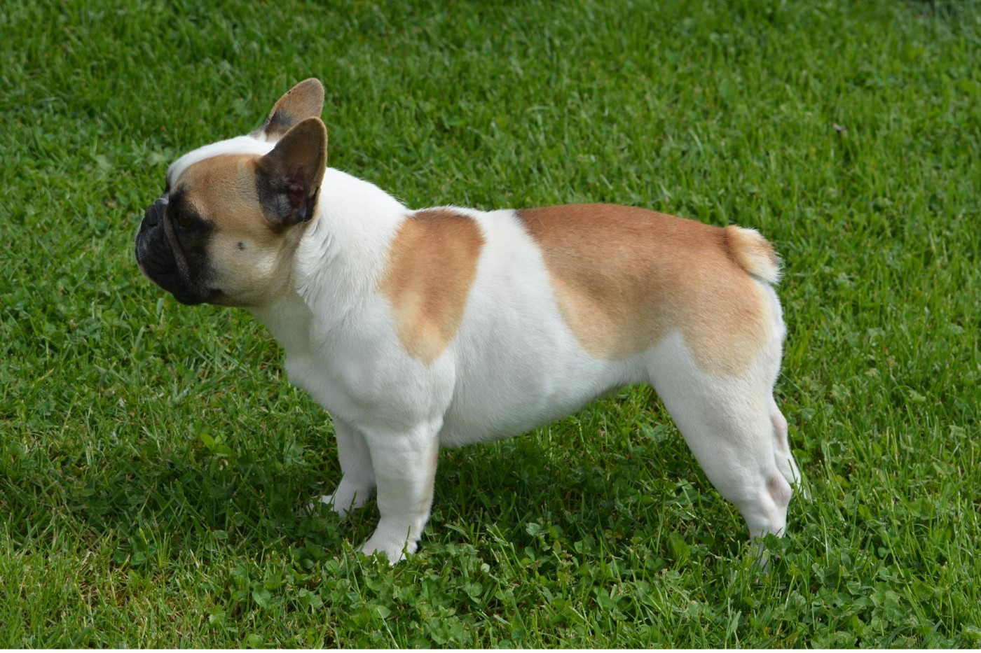 Eden Of The Beauty As Vic Queen