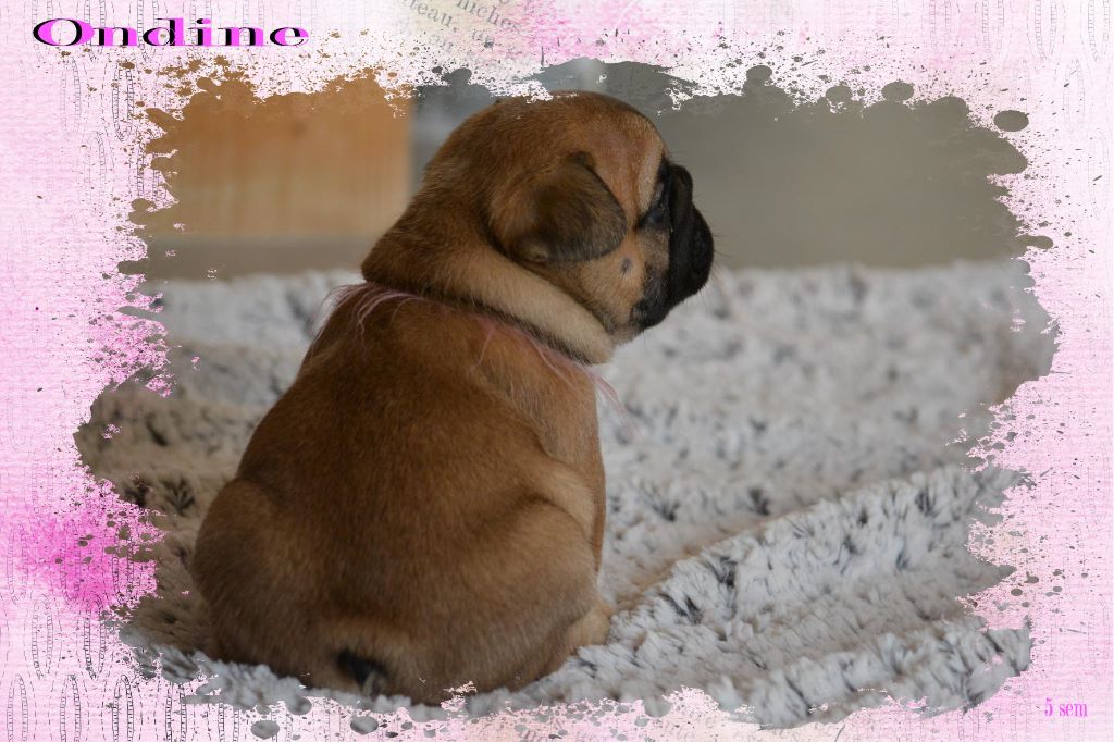 Bébés 3 à 5 semaines